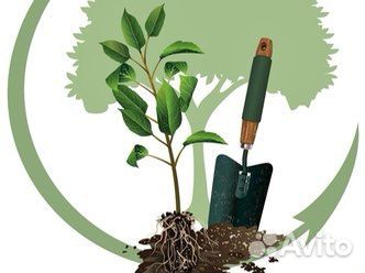 Земля плодородная