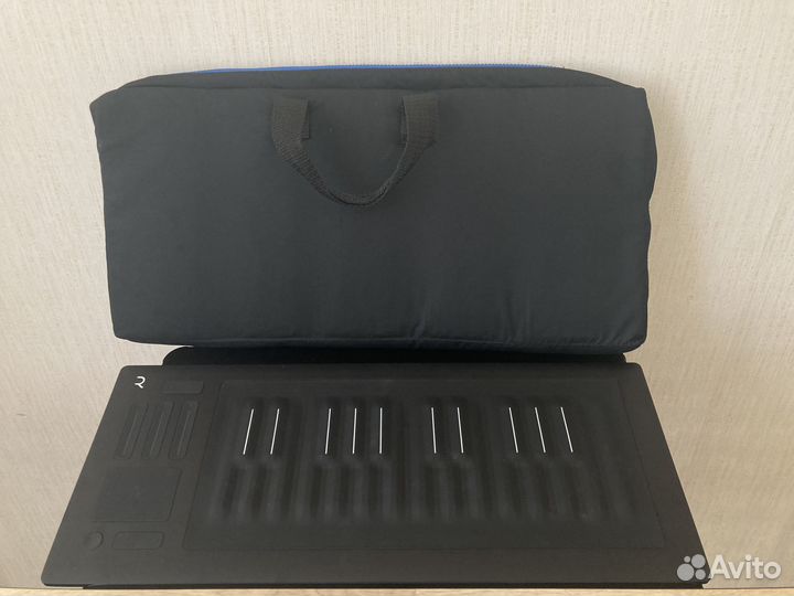 Roli seaboard rise 25