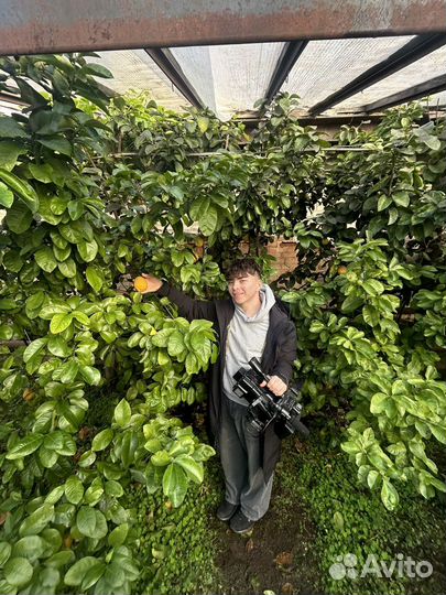 Рилсмейкер - 8 млн на reels