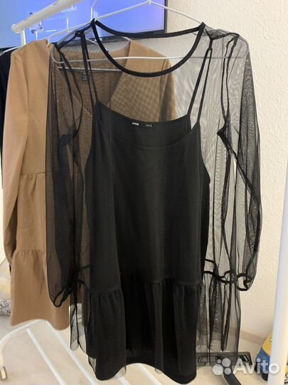 Плтье денское