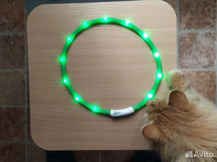 Светодиодный ошейник