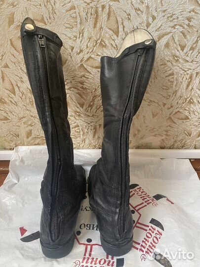 Саоги для конного спорта