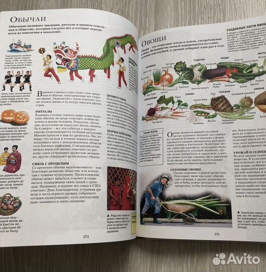 Иллюстрированный атлас Динозавры