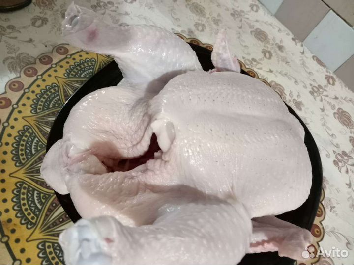 Мясо домашнего бройлера халяль
