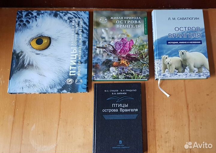 Книги #1 Обн. 14.07