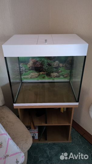 Аквариум 170 литров с тумбой
