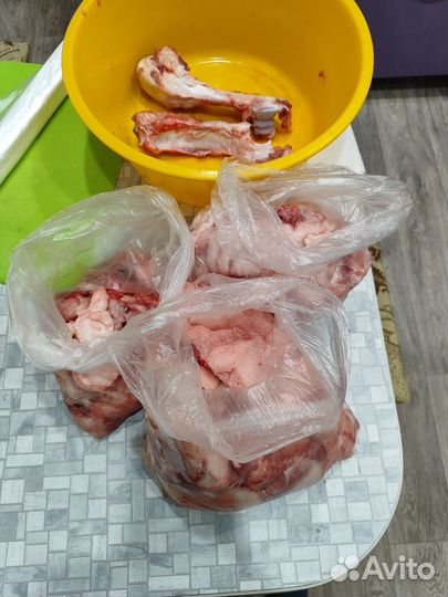 Корм для собак