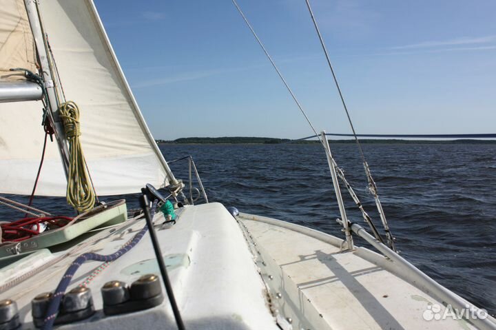 Прогулки на парусной яхте Рыбинское водохранилище