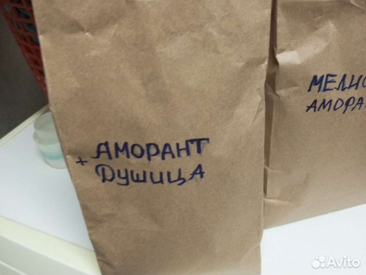 Аморантовое дерево семена