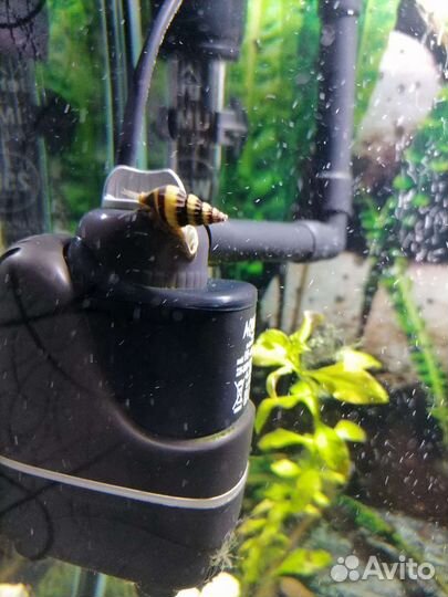 Продам аквариум