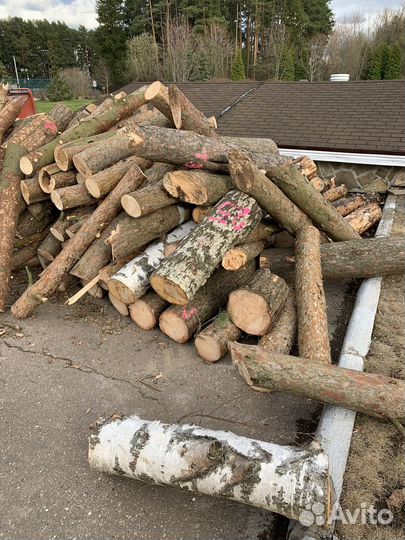 Дрова бесплатно