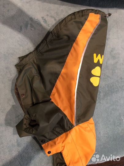 Одежда для собак