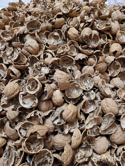 Скорлупа грецкого ореха