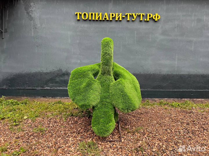 Топиари Топиарные фигуры Садовые фигуры