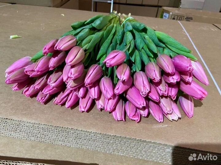 Букет тюльпанов с доставкой на 8 марта