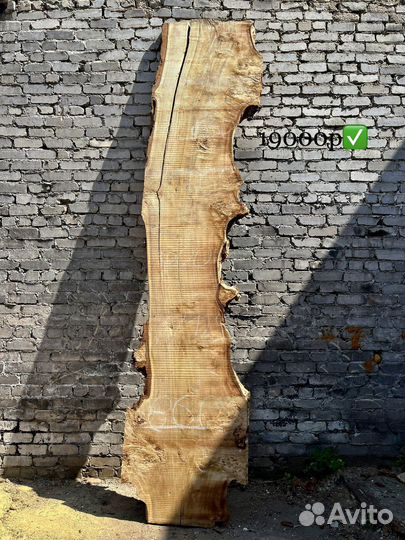 Заготовка,слэб из капового тополя