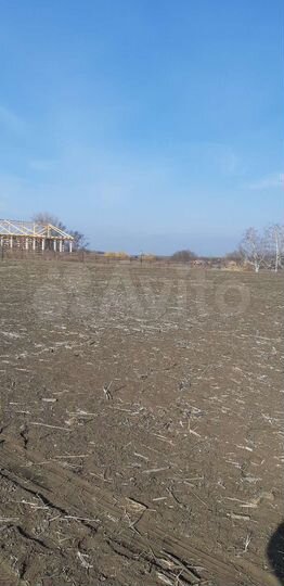 Участок 25 сот. (ИЖС)