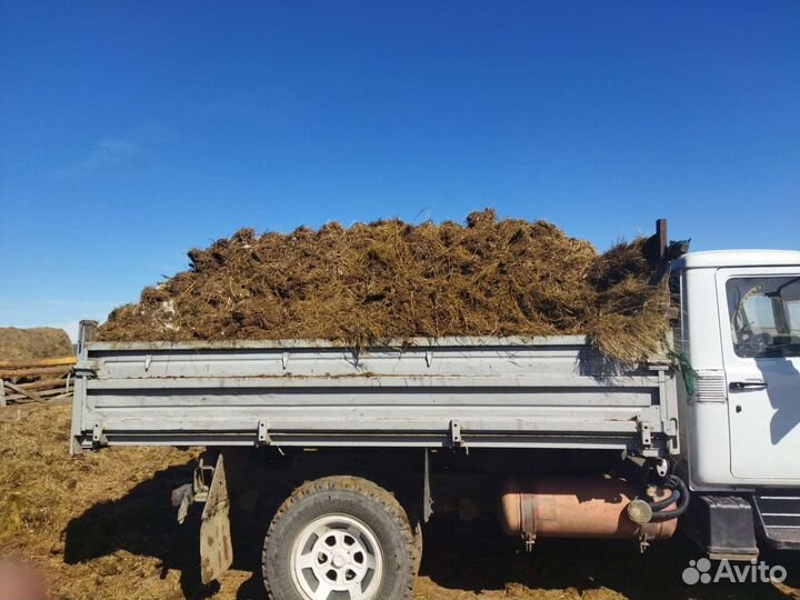 Навоз Перегной