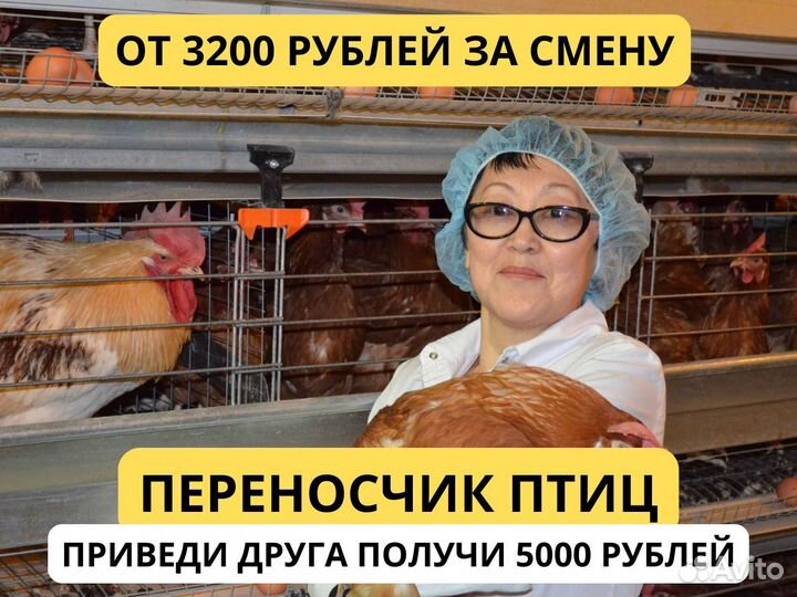 Перенос птиц