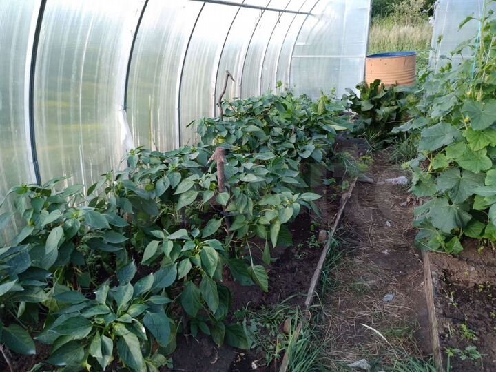 Дача 50 м² на участке 10 сот.