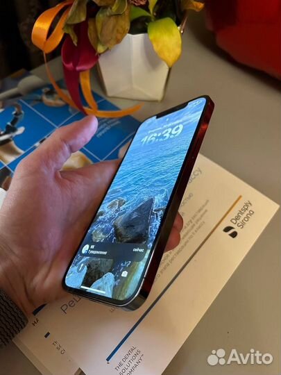 iPhone 12 Pro Max, 256 ГБ