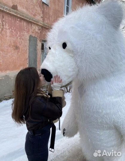 Белый мишка на поздравление