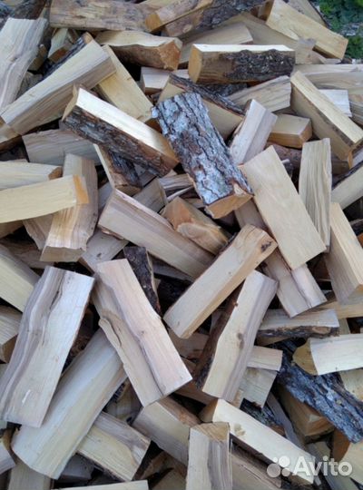 Дрова береза