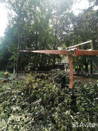 Спил деревьев