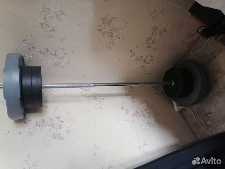 Штанга с блинами