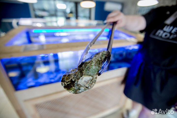 Продам 10 процентов доли в готовом бизнесе