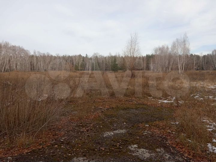 Участок 15,5 сот. (ИЖС)