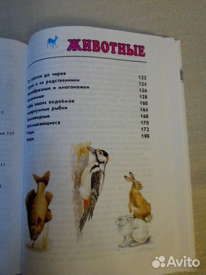 Атлас-определитель для учащихся начальных классов