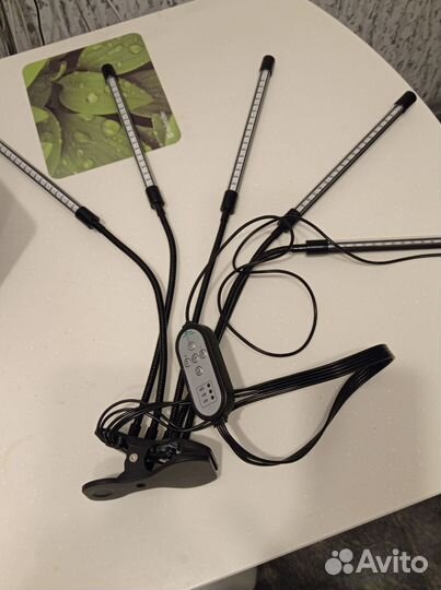 Фитолампа для подсветки растений