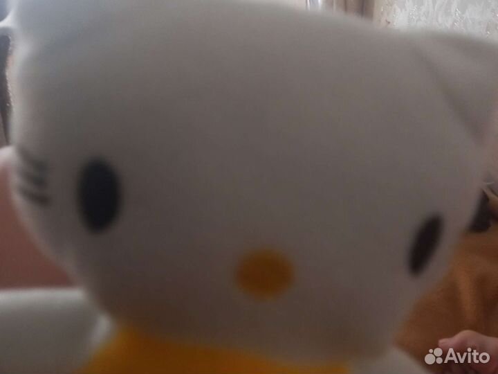 Хелол кити кот