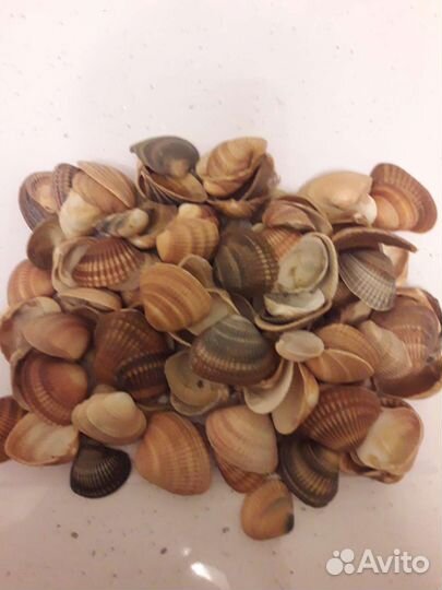 Грунт для аквариума