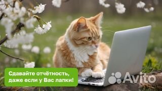 1 С Предприятие. Консультации, эдо, отчетность
