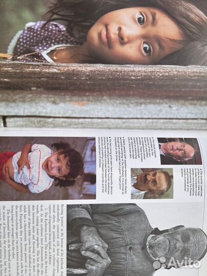 Desmond Morris Bodywatching