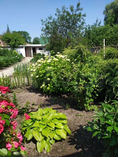 Дом 51 м² на участке 5 сот.