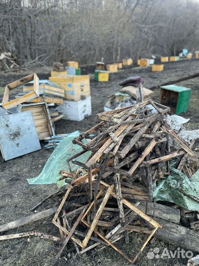 Рамки для ульев