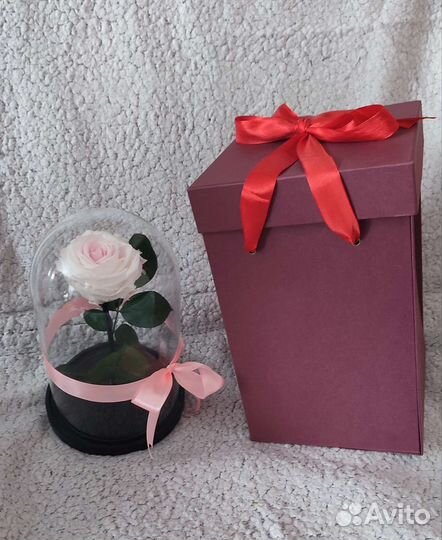 Живая роза в колбе