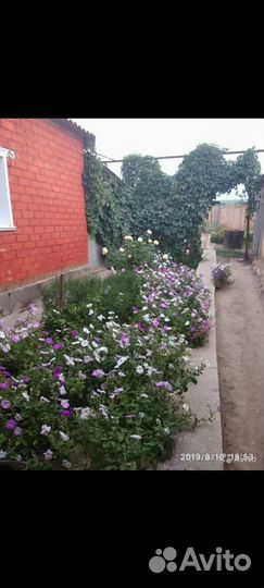 Продается дом