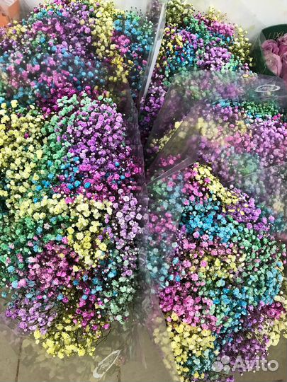 Букеты 101 роза Эквадор Дешевые букеты Мытищи