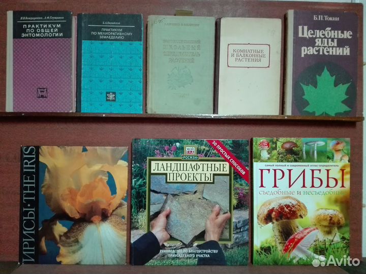 Книги по лесному хозяйству дендрологии энтомологии