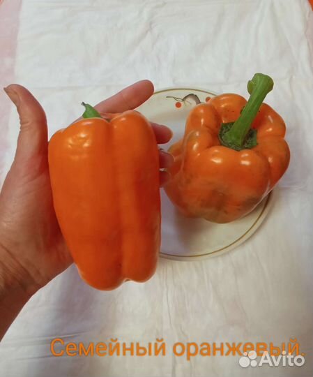 Семена перцев