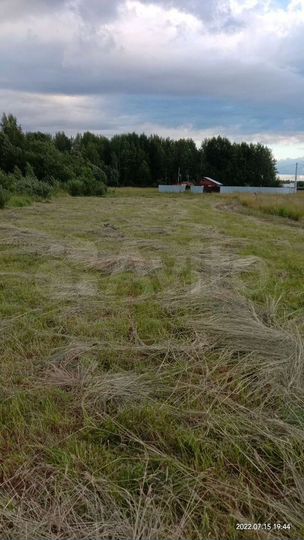 Участок 19,9 сот. (ИЖС)