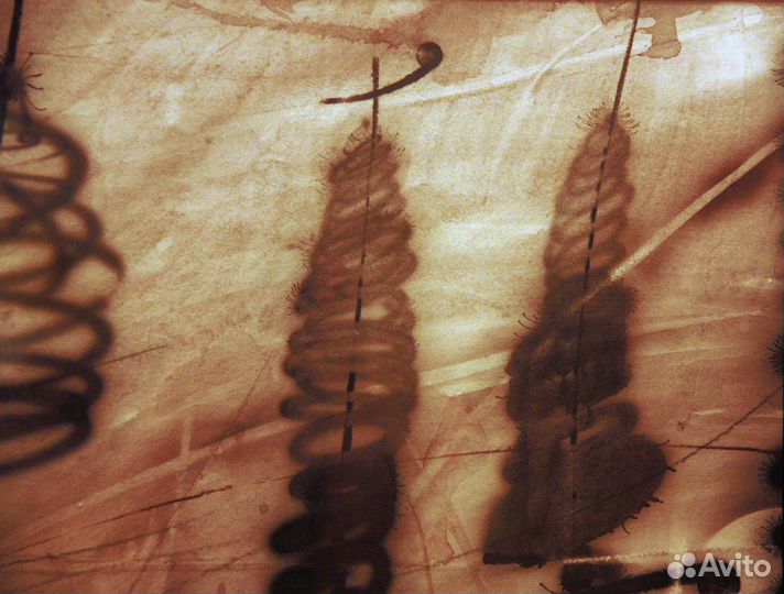 Перевезенцев Ю.Ю. Спиральные ели. 1995 год