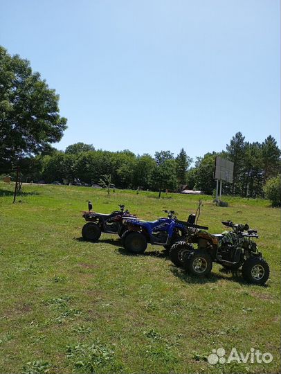 Прокат квадроциклов Адыгея