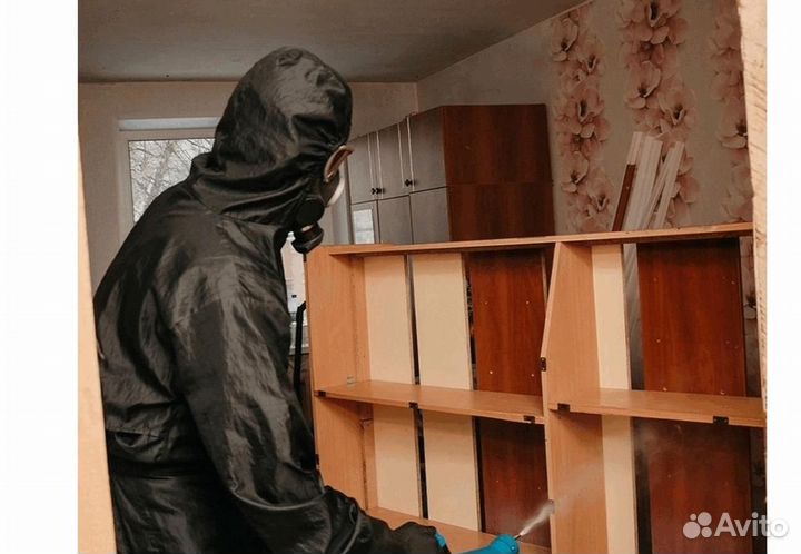 Уничтожение клопов тараканов грызунов