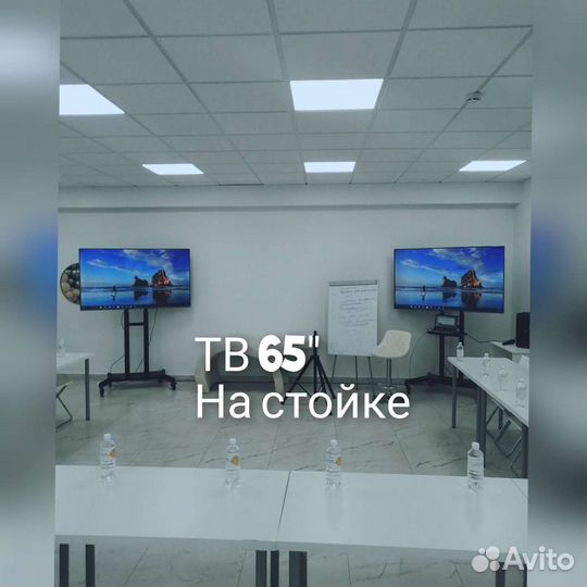 Аренда прокат :телевизора,проектора, экрана,звука