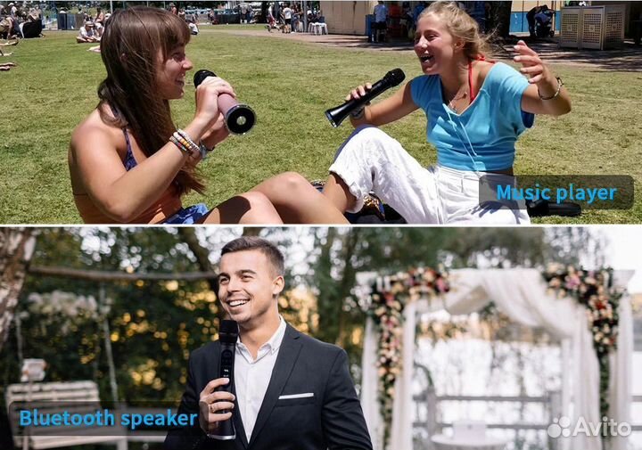 Профессиональный караоке-микрофон L-899DSP 30W